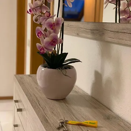 Apartament Casa Catalina Rust Zewnętrze zdjęcie